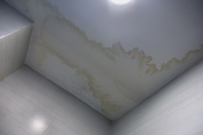 Ceiling Water Damage Repair in Olathe, KS