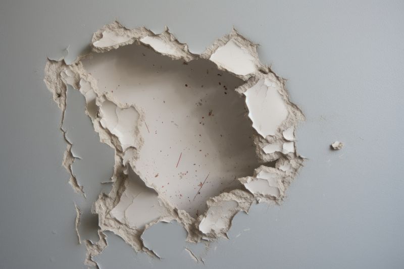 Gypsum Board Repair in Conroe, TX